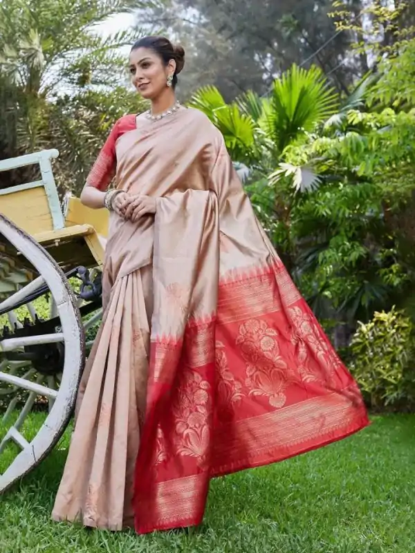 Chiku Lichi Silk Lace Border Saree