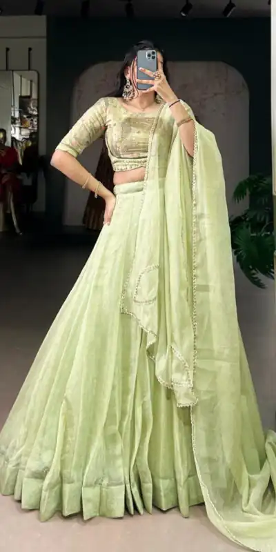 Pista Allen Crush Bead Sequins Work Lehenga Choli